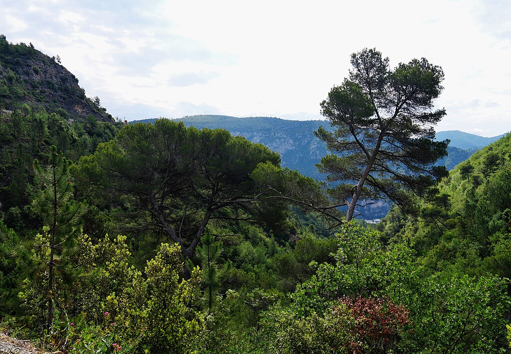 Douche sénior Alpes-Maritimes