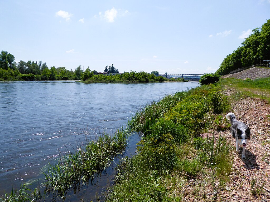 Douche sénior Loire