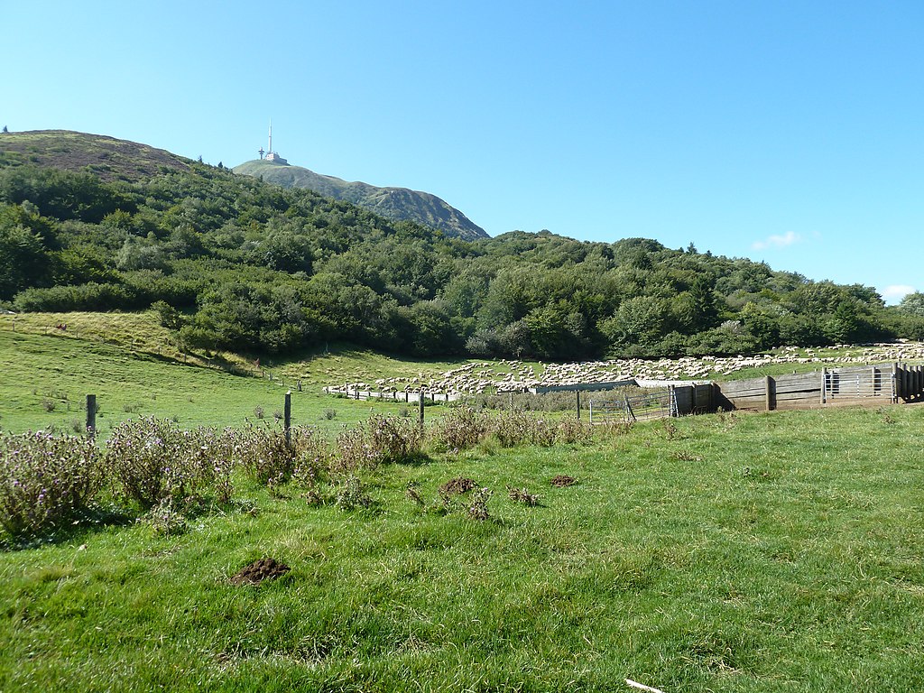 Douche sénior Puy-de-Dôme