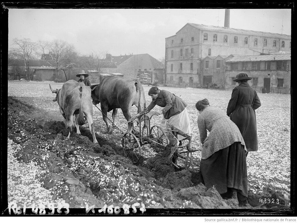 Douche sénior Val-de-Marne