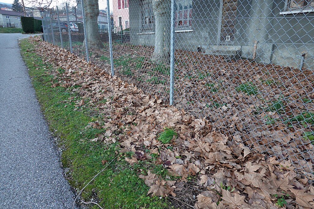Douche sénior Bellegarde-sur-Valserine