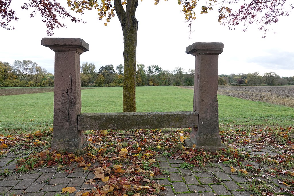 Douche sénior Sélestat