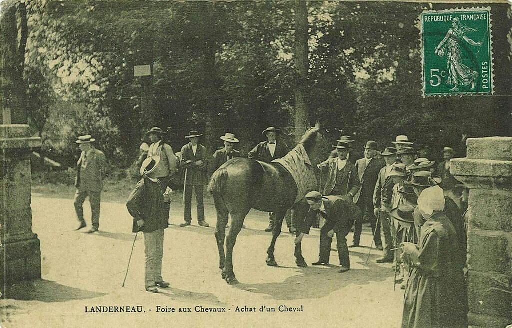 Douche sénior Landerneau