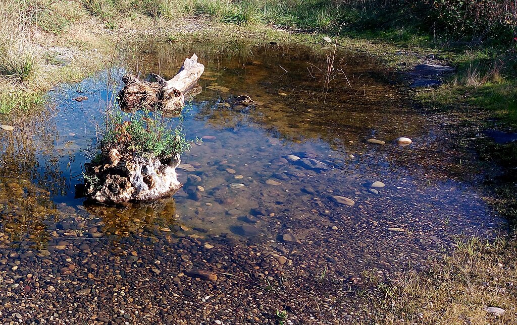 Douche sénior Wittenheim