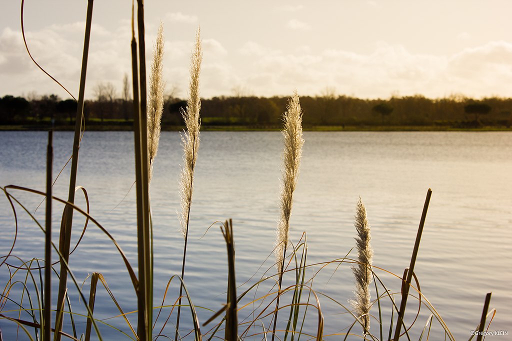 Douche sénior Tournefeuille
