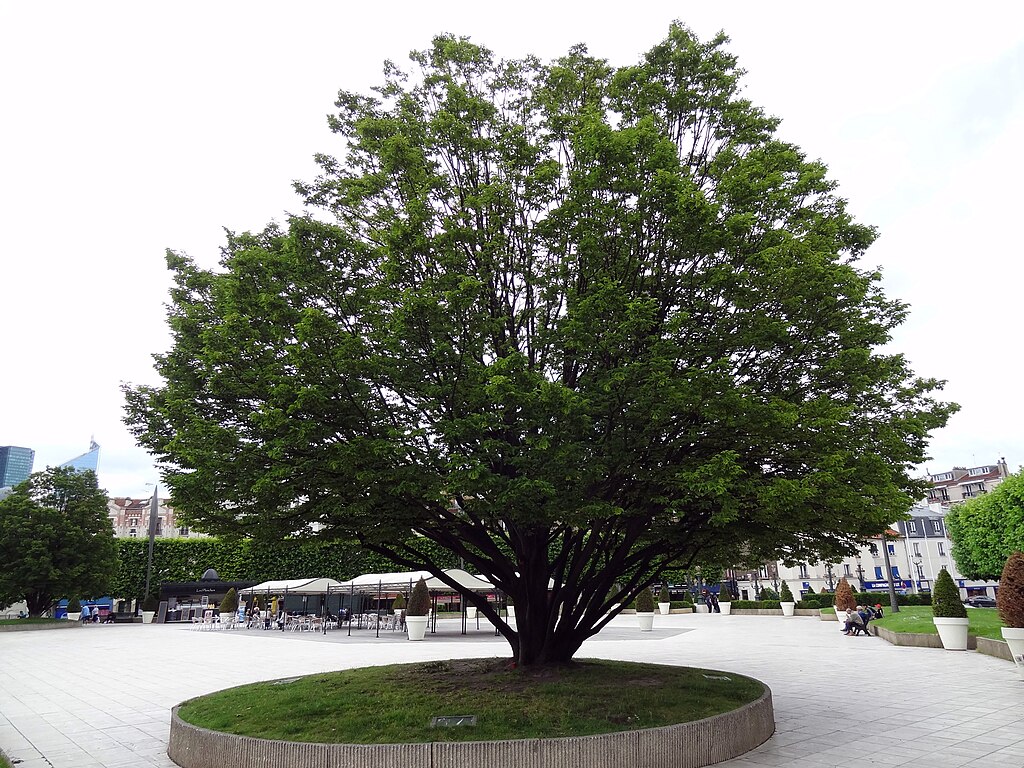 Douche sénior Puteaux