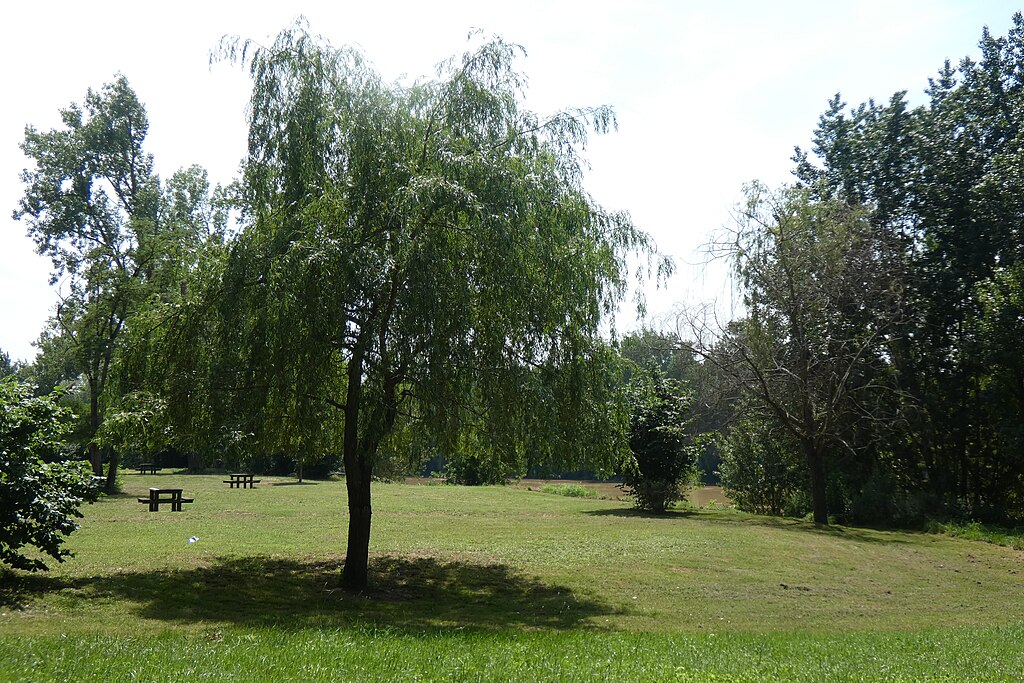 Douche sénior Marmande