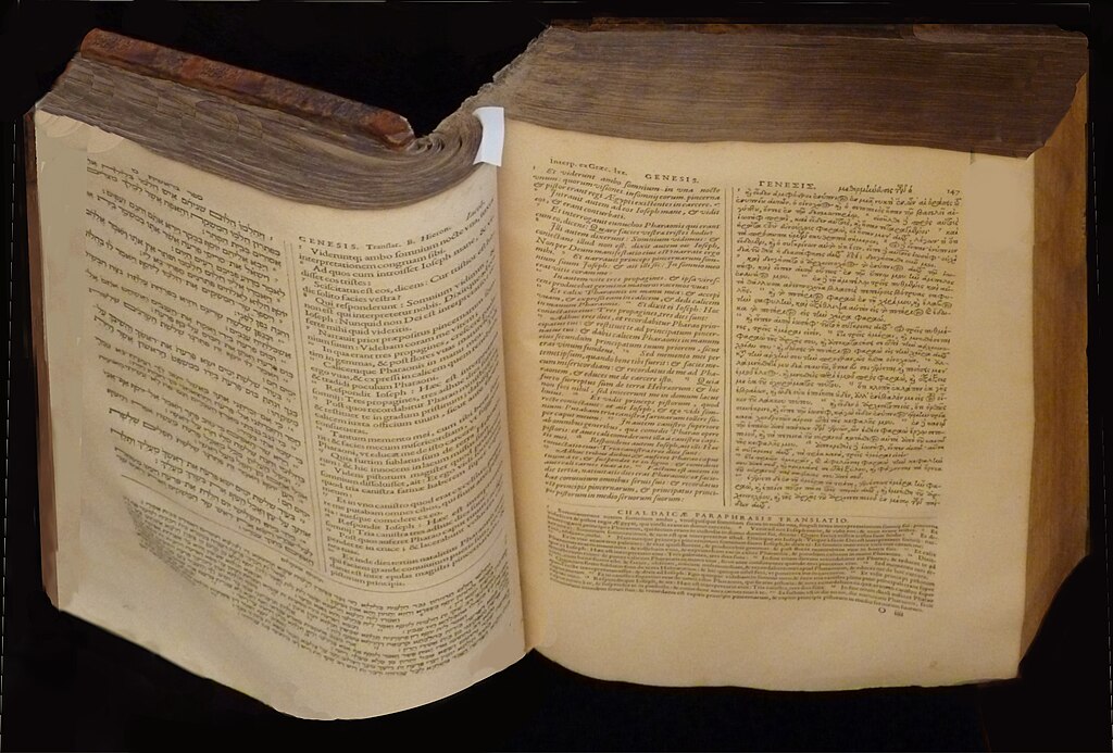 Douche sénior Valenciennes